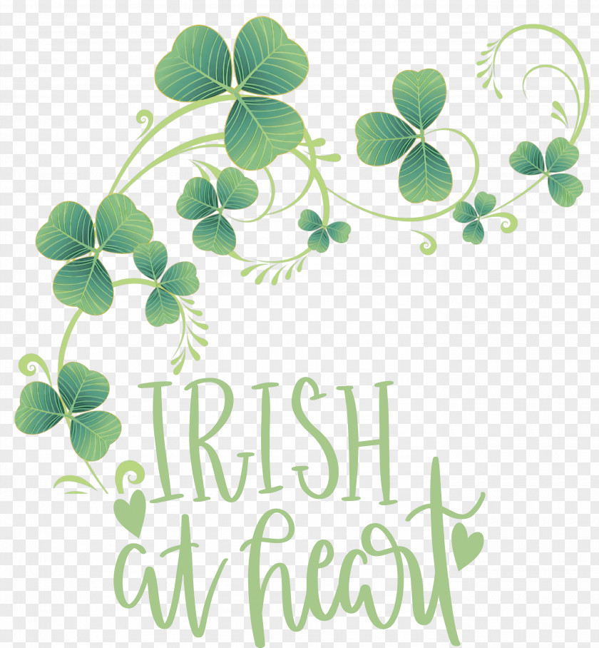 Shamrock Irish Saint Patrick PNG