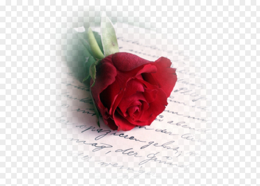 Valentine's Day Love Letter Romance Poetry PNG