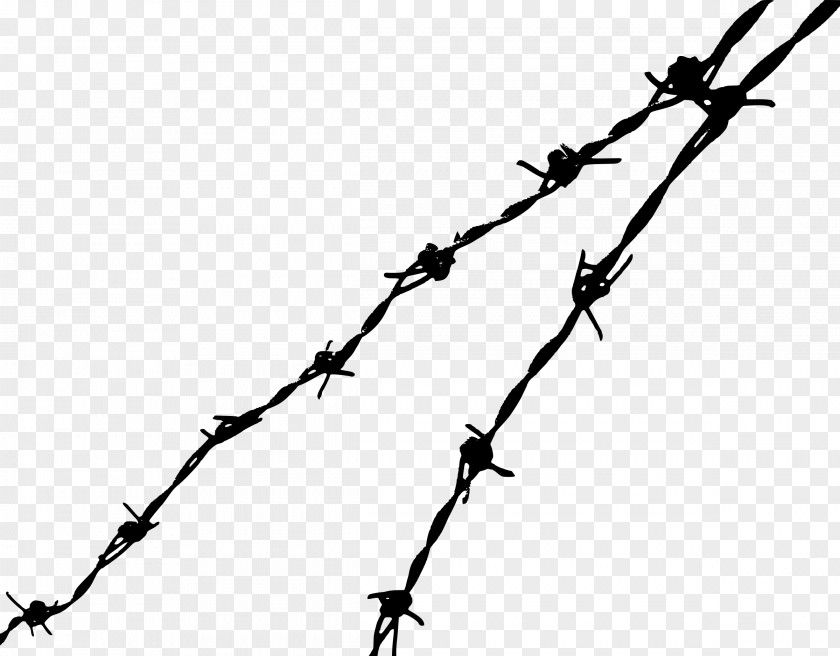 Barbwire Barbed Wire Clip Art PNG