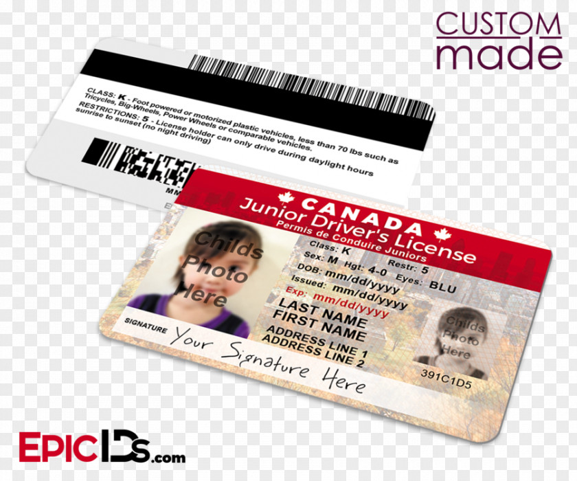 Canada's Worst Driver Dwight Schrute Jim Halpert Pam Beesly Dunder Mifflin Identity Document PNG