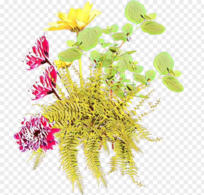 Cut Flowers Flowering Plant Flower PNG