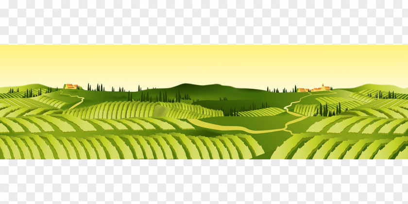 Field Agriculture Farm Agricultural Land Clip Art PNG