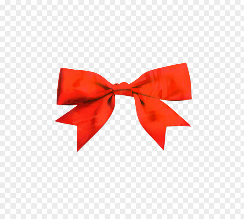 Gift Wrapping Tie Ribbon Bow PNG