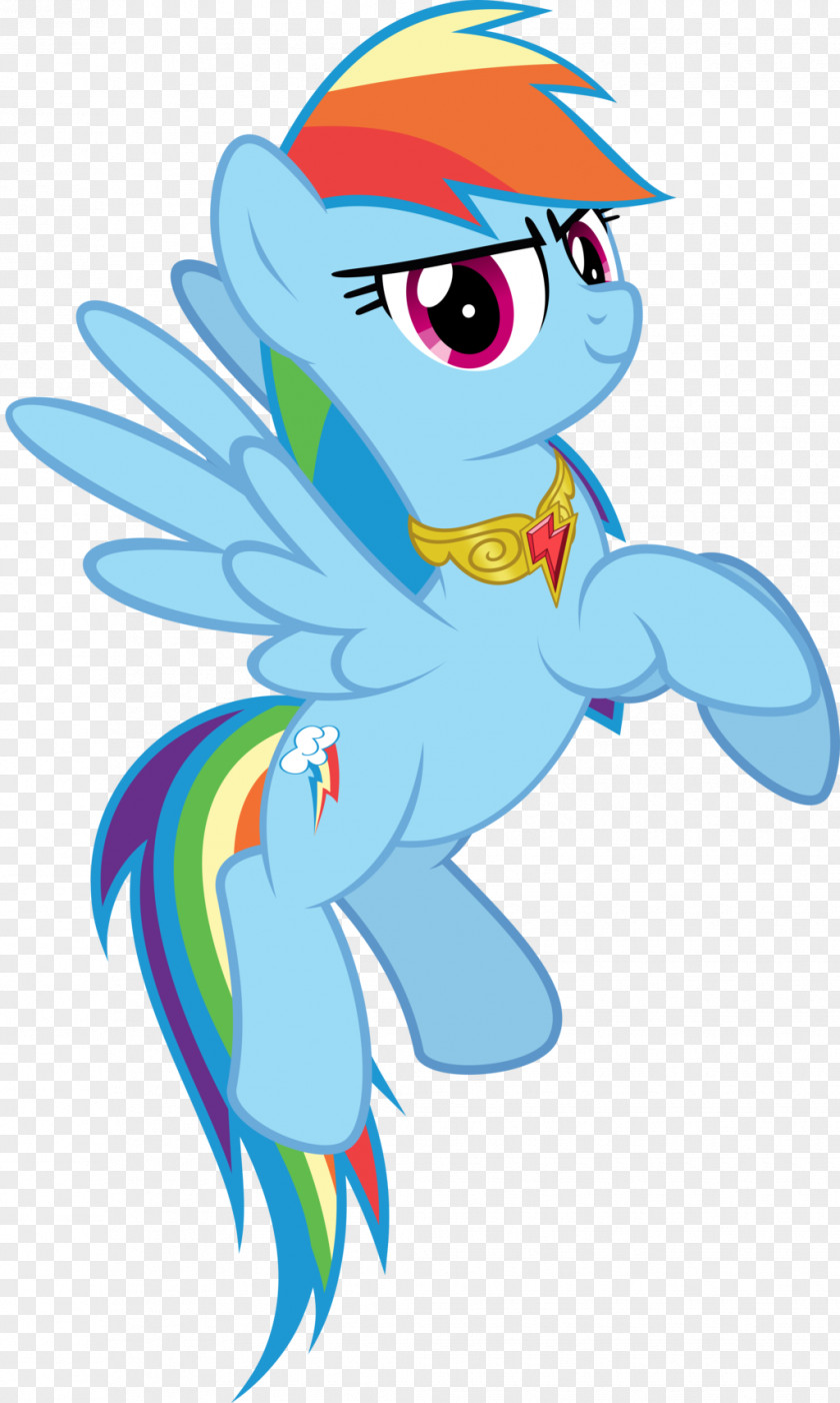 Rainbow Dash Pony Rarity Pinkie Pie Art PNG