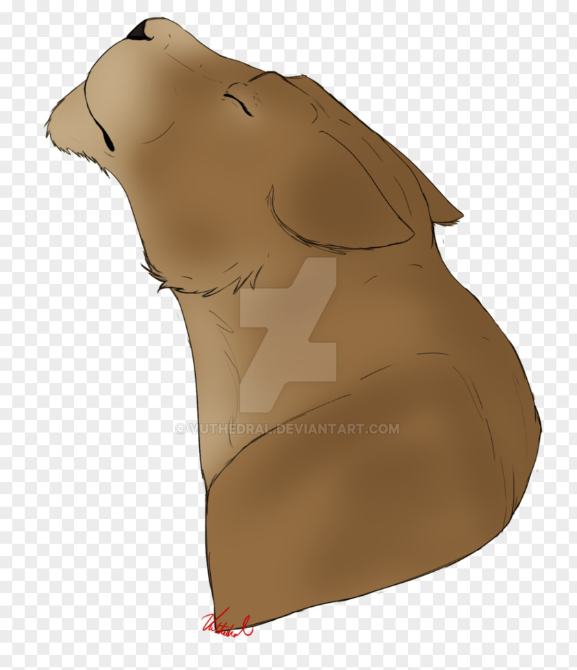 Summer Pull Down Neck Snout PNG