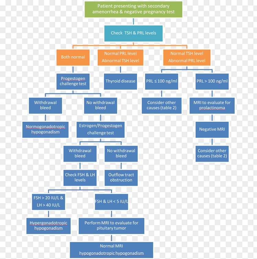 Thyroid Cancer Absence Of Menstruation Disease Traumatic Brain Injury Progestin Challenge Galactorrhea PNG