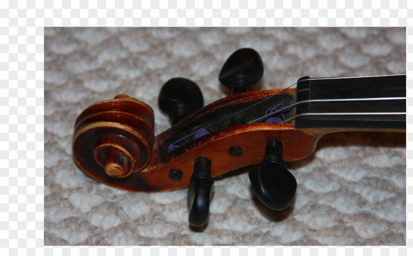 Violin Violone Viola Cello Luthier PNG