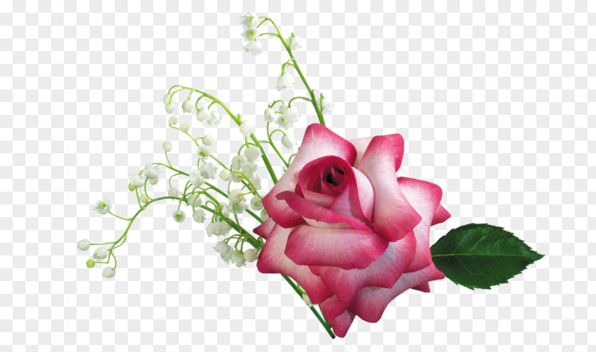 Birthday Flower Bouquet Clip Art PNG