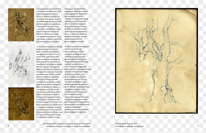 Catalogue Paper Ladislav R. Hanka Drawing Folio PNG