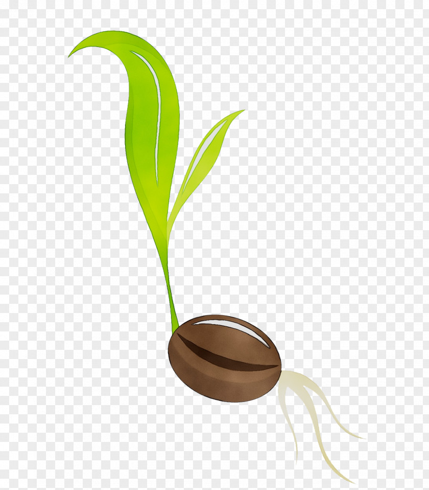 Clip Art Germination Vector Graphics Illustration Seed PNG