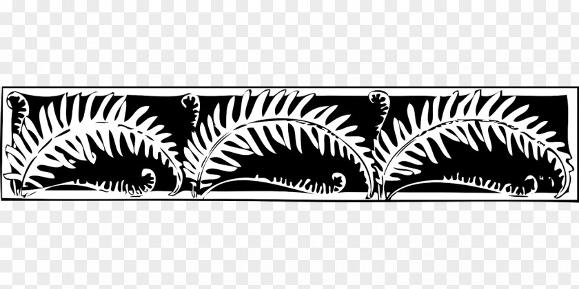 Leaf Black And White Fern Drawing Clip Art PNG