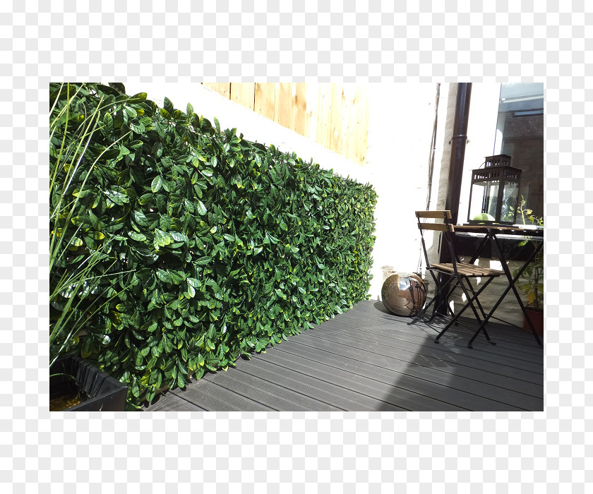 Fence Hedge Garden Patio Furniture PNG