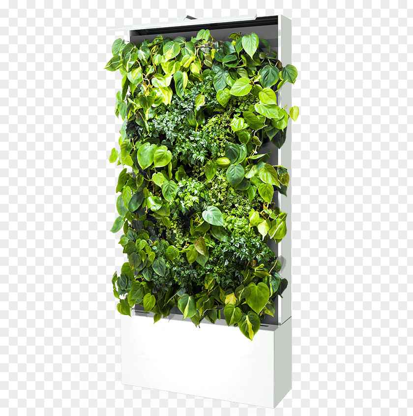 Green Wall Sustainable Design Parede Flowerpot PNG
