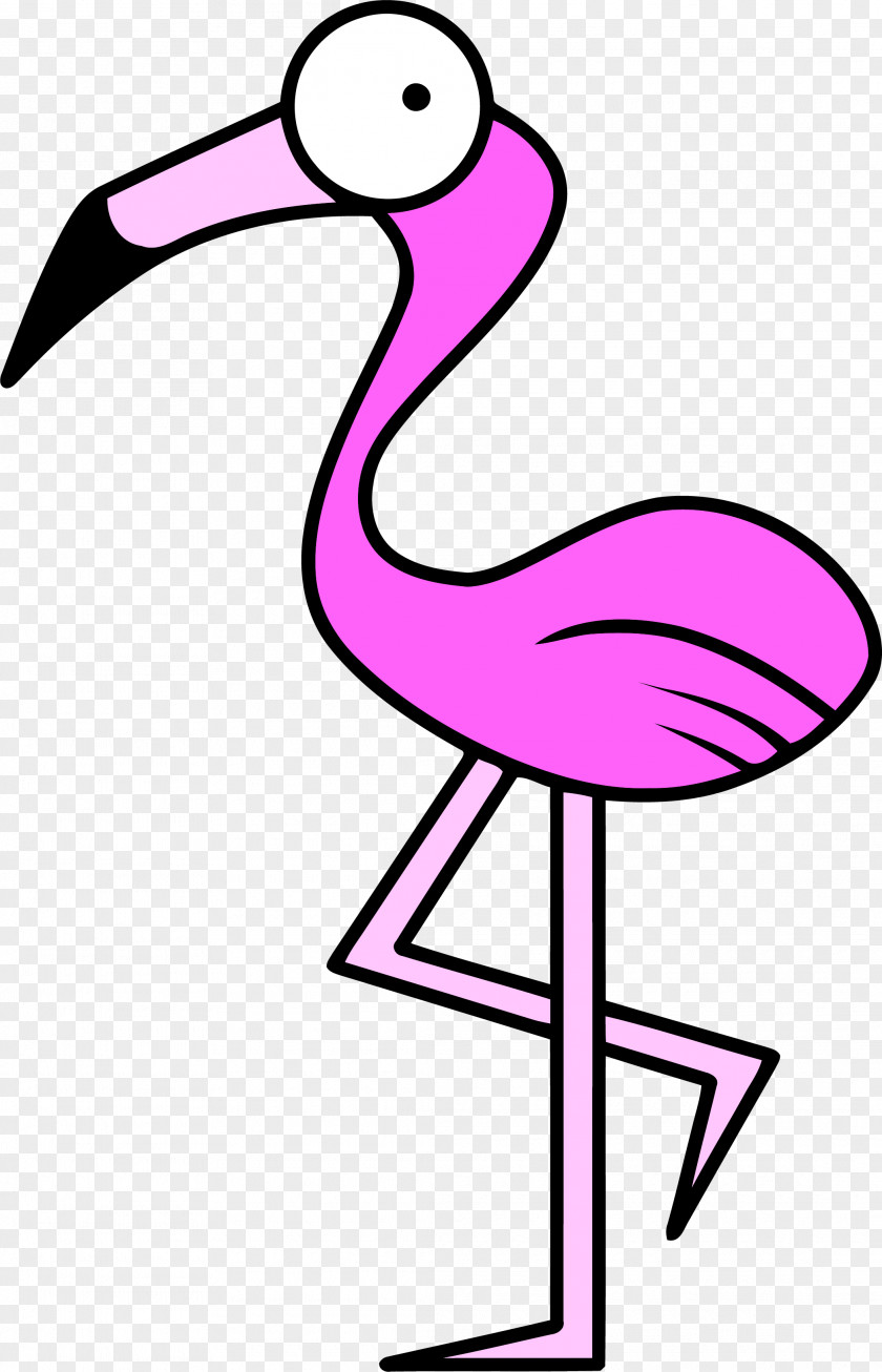 Magenta Greater Flamingo PNG