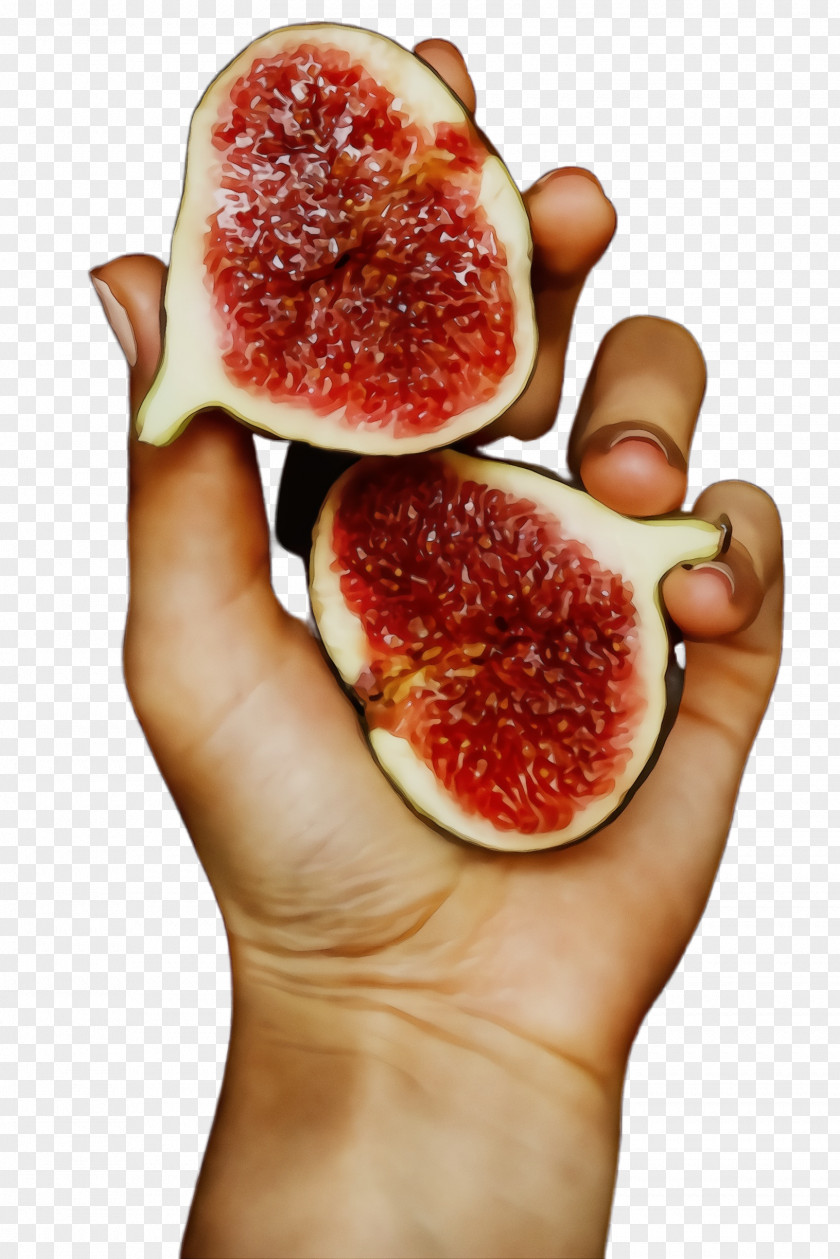 Plant Fig Natural Foods Pomegranate Food Fruit Common PNG