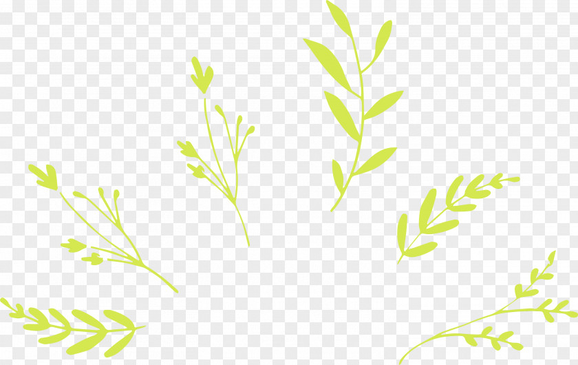 Twig Plant Stem Leaf Grasses Green PNG