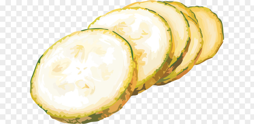 Vegetable Material Cucumber Gourd Euclidean Vector PNG