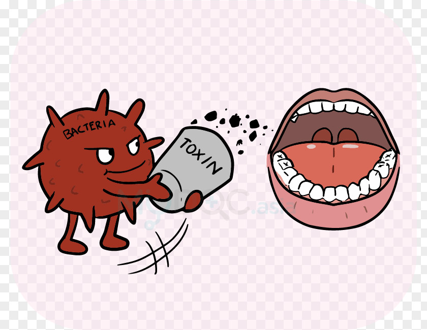 BACTERIA TOOTH Vertebrate Tooth Character Clip Art PNG