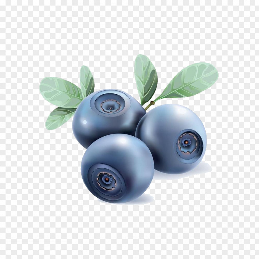 Blueberry Tea Vector Graphics Clip Art PNG