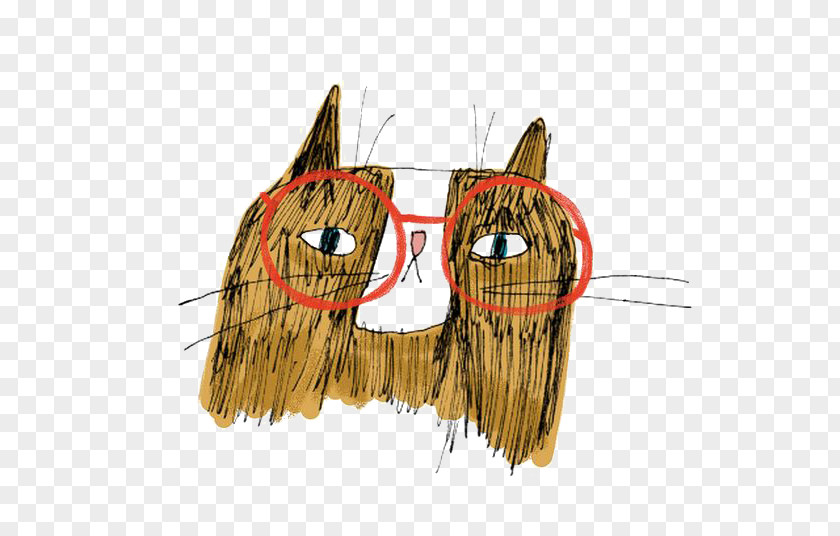 Cat Cartoon Doodle Drawing Illustration PNG