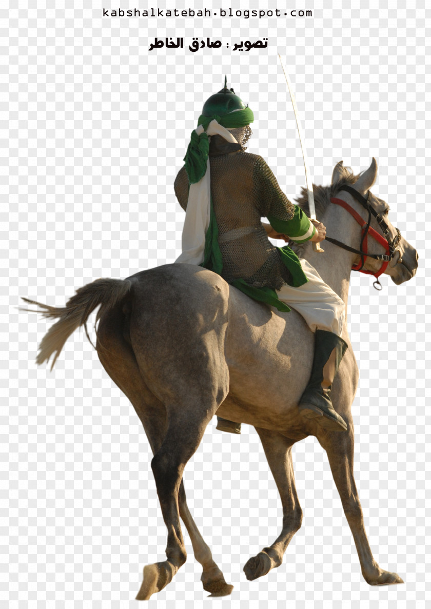Contents Battle Of Karbala Shia Islam God Equestrian Imam PNG