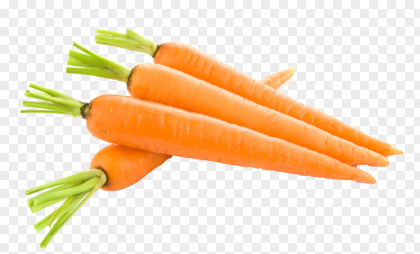 Corn Carrot Clip Art PNG