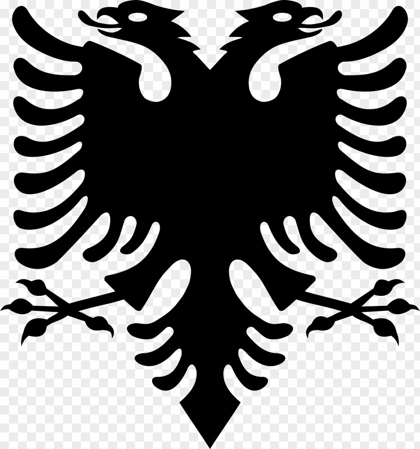 Flag Of Albania Double-headed Eagle Albanian Declaration Independence PNG