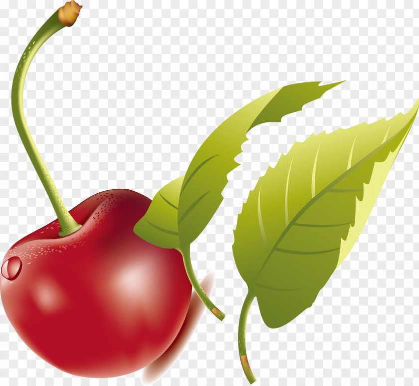Green Leaves, Red Fruit, Cherry Vector Euclidean Clip Art PNG
