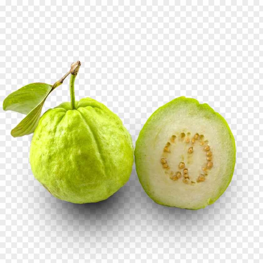 Juice Common Guava Tropical Fruit PNG