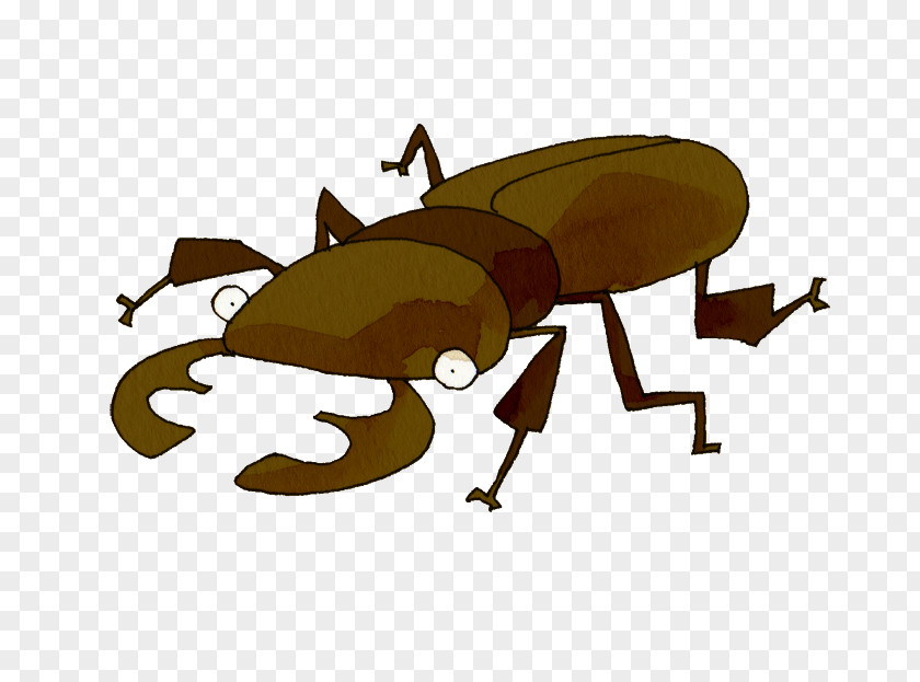 Train Insect Yuni Garden Stag Beetle Japanese Rhinoceros PNG