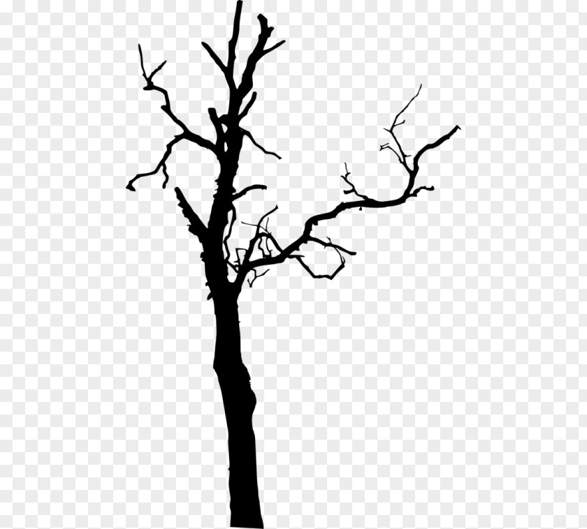 Tree Twig Clip Art PNG