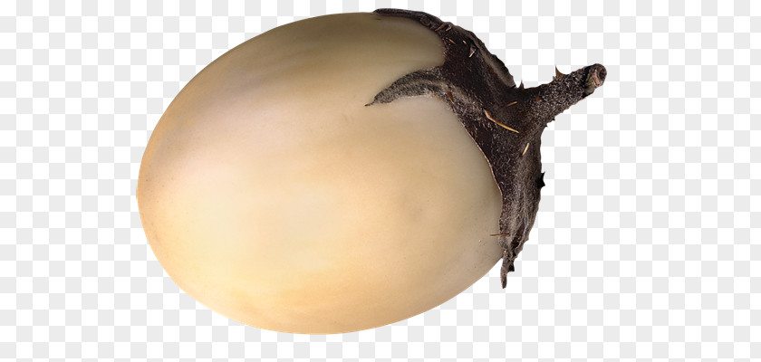 Verdura Fruit Eggplant PNG