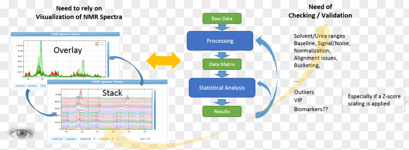 Interactive Interface Nuclear Magnetic Resonance Spectroscopy Metabolomics Proton Carbon-13 PNG