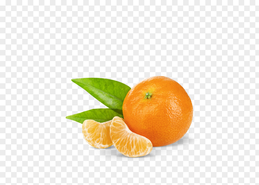 Orange Clementine Mandarin Marmalade Tangerine PNG