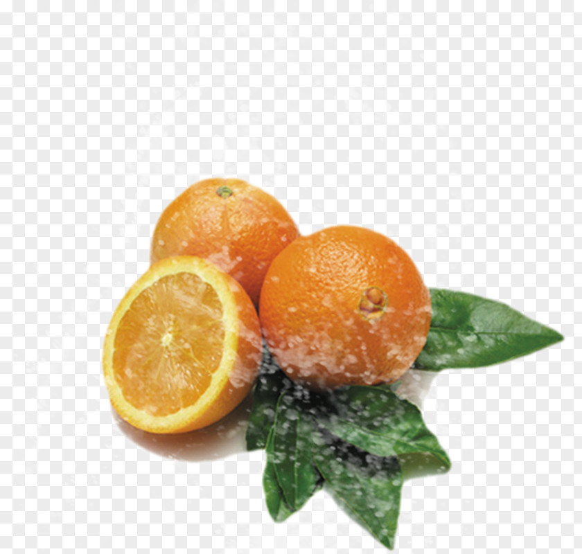 Orange Clementine Tangerine Mandarin Grapefruit Rangpur PNG