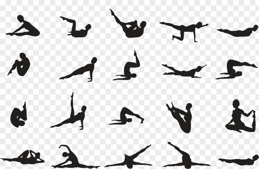 Yoga Pilates Exercise Asana Posture PNG