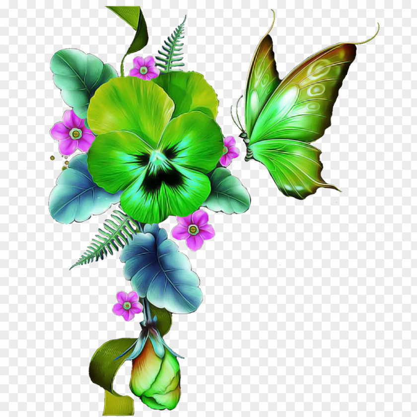 Butterfly Insect Moths And Butterflies Flower Plant PNG