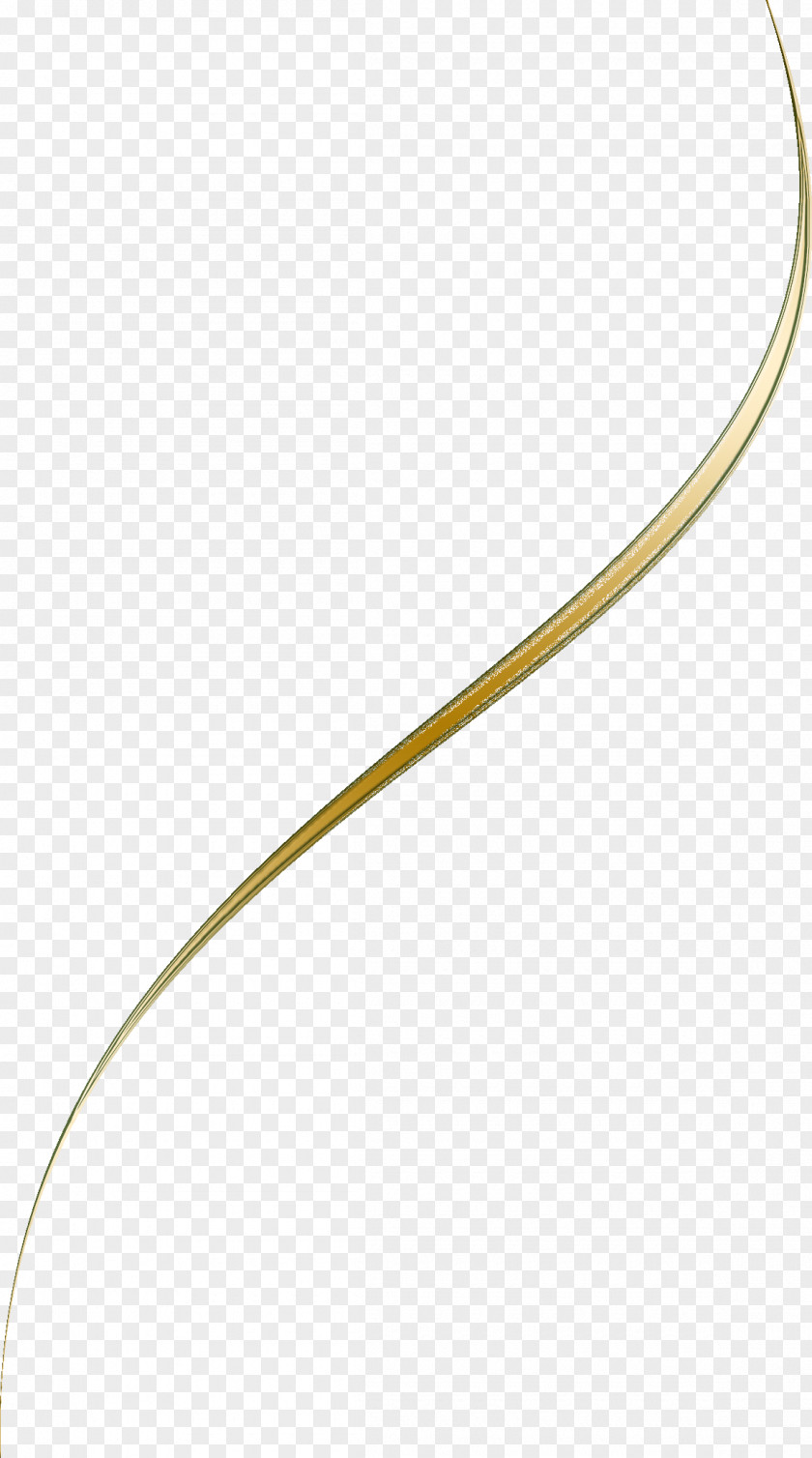 GOLD LINE Body Jewellery PNG