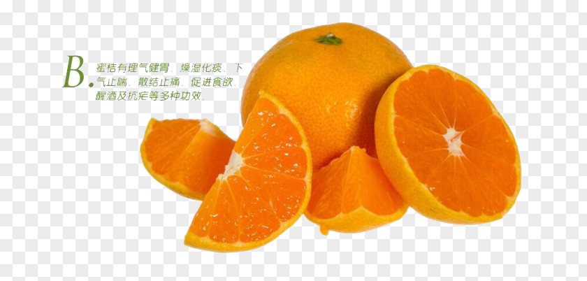 Golden Orange Composition Clementine Citrus Japonica Mandarin Margarita PNG
