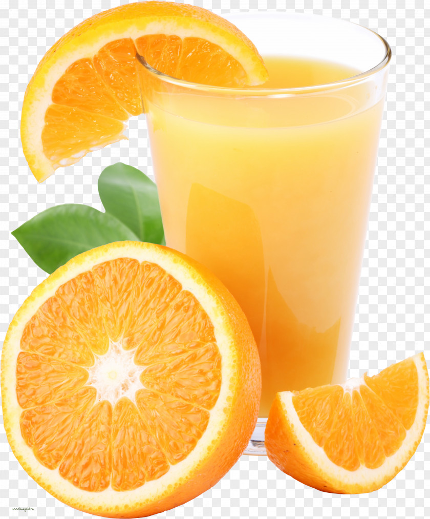 Juice Orange Cocktail Tomato PNG