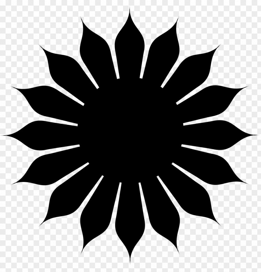 Symbol Common Daisy PNG