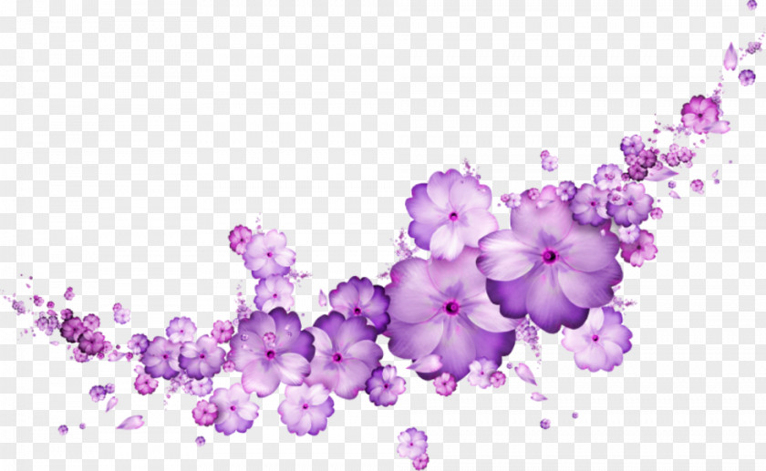 Violet Flower Mauve Blue Purple PNG