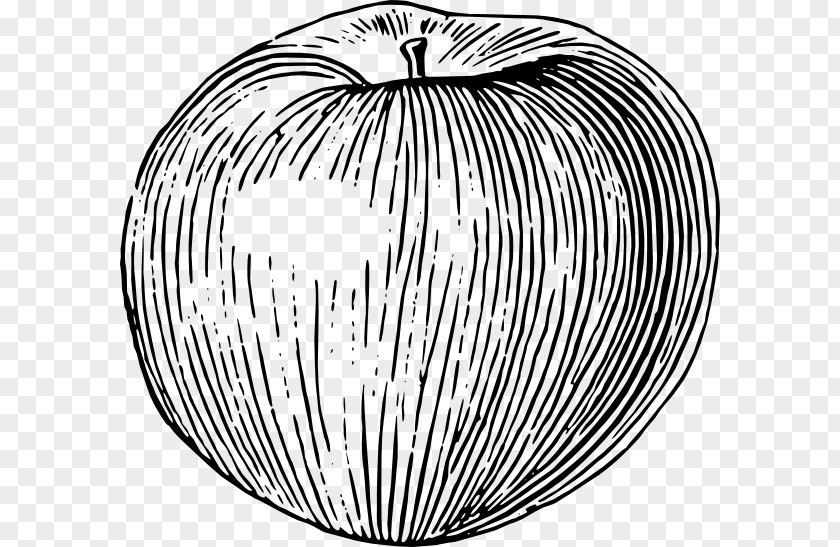 Apple Drawing Fruit Clip Art PNG