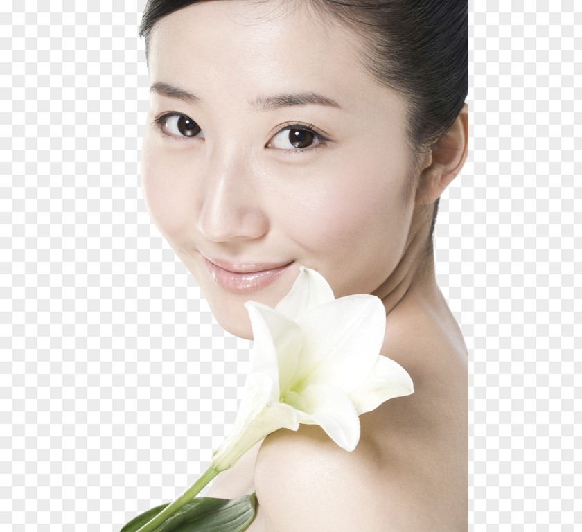 Beauty Flowery Skin Care Face Eyebrow PNG
