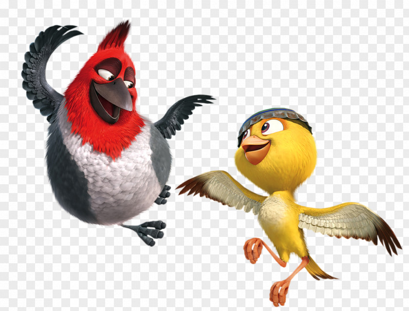 Bird Disney Blu Rio Film Image Clip Art PNG