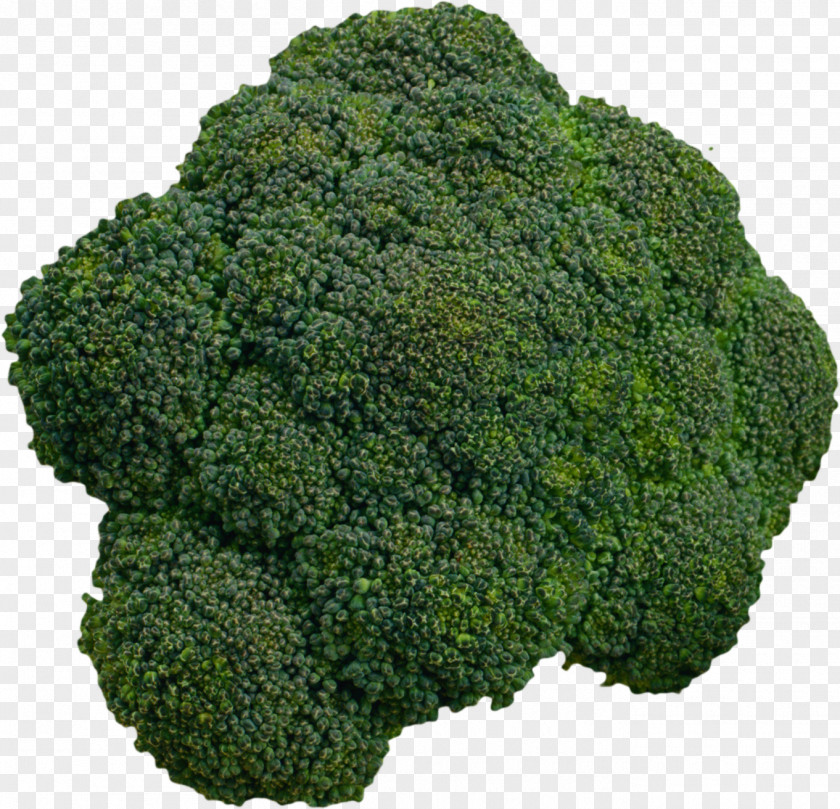 Cauliflower Cabbage Kale Vegetable PNG