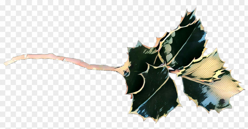 Holly Plane Leaf PNG