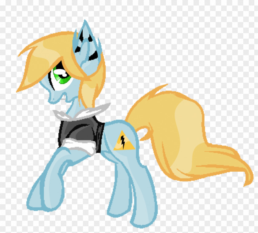 Horse Pony Cat Dog PNG