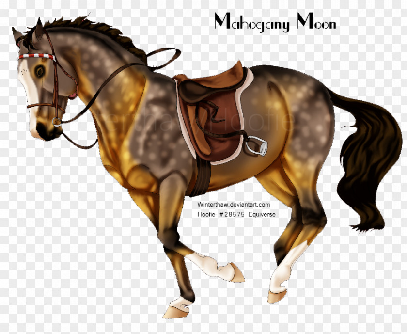 Owl Moon Mane Mustang Rein Stallion Western Riding PNG