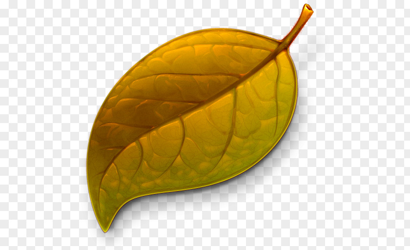 Autumn Leaves Text Editor Icon PNG